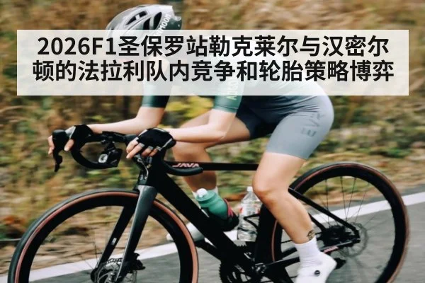 2026F1圣保罗站勒克莱尔与汉密尔顿的法拉利队内竞争和轮胎策略博弈